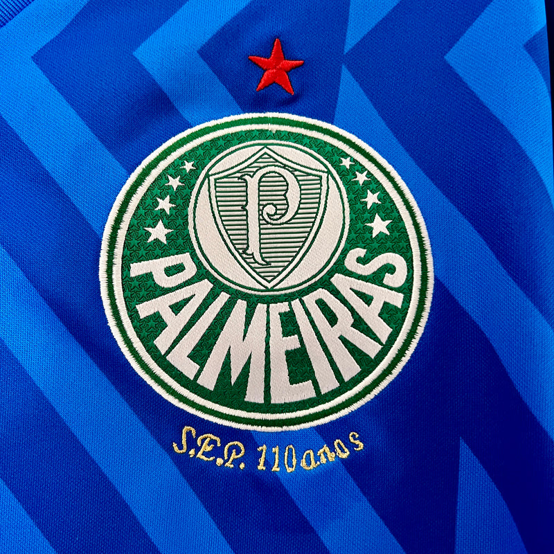 Camisa Palmeiras Goleiro 24/25 - Puma Torcedor Masculina